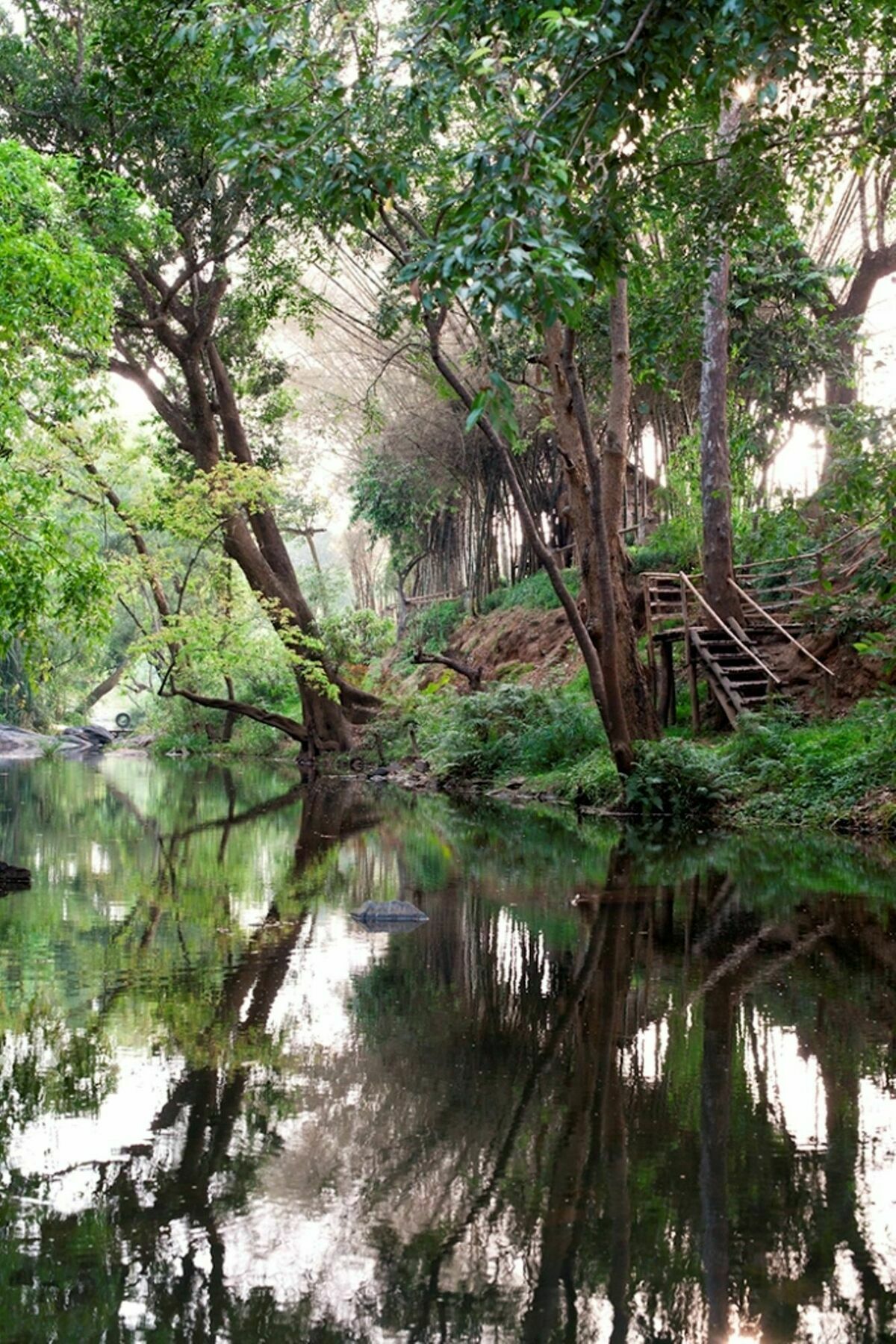 库格阿曼瓦纳spa度假村 Kushālnagar 外观 照片